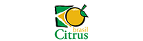 Brasil Citrus